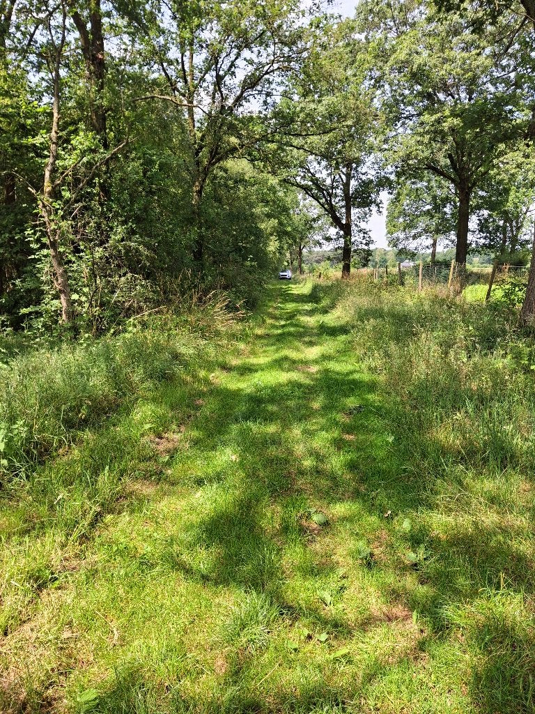 bosperceel van 8725 m2, Ophalen, Nieuw