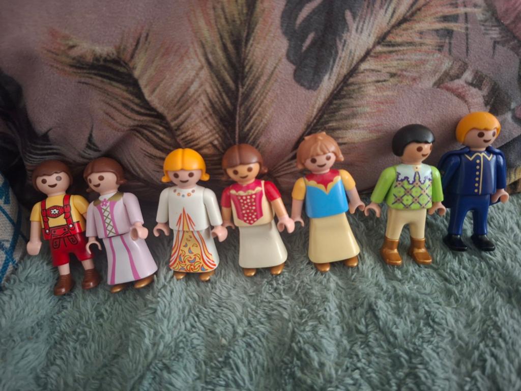 Playmobil kasteel kinderen, Verzenden