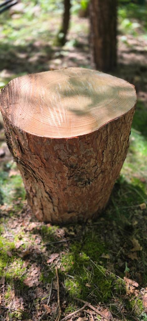 Houten hakblok / kloofblok 55-57 cm hoog, ca. 40 cm breed, Doe-het-zelf en Verbouw, Hout en Planken, Ophalen, Overige houtsoorten