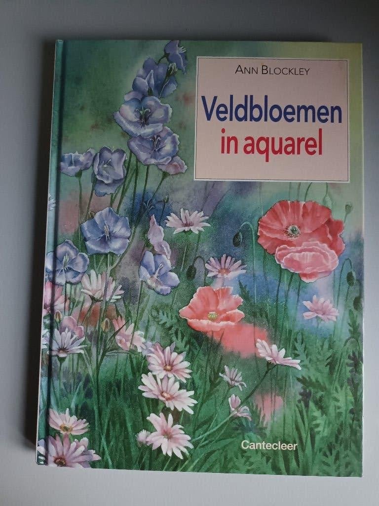 Ann Blockley Veldbloemen in aquarel boek schilderen bloemen, Hobby en Vrije tijd, Ophalen of Verzenden, Zo goed als nieuw, Overige typen