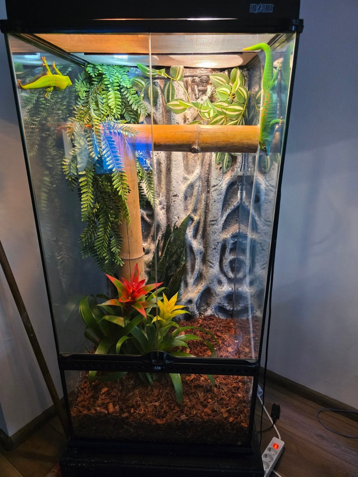 Exoterra terrarium ( L 45 x H 90 x B 45 ) met lichtkap., Ophalen, Zo goed als nieuw, Terrarium of Paludarium