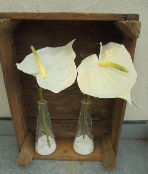 VAAS VINTAGE 1990 TAPS 18,5x dia 7,5 cm Flamingobloem set, Ophalen of Verzenden