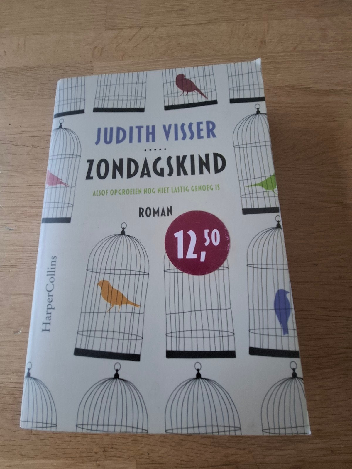 Zondagskind - Judith Visser (Roman), Ophalen of Verzenden, Gelezen, Judith Visser, Nederland