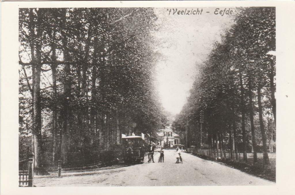 eefde- 't veelzicht, Ophalen of Verzenden, Friesland