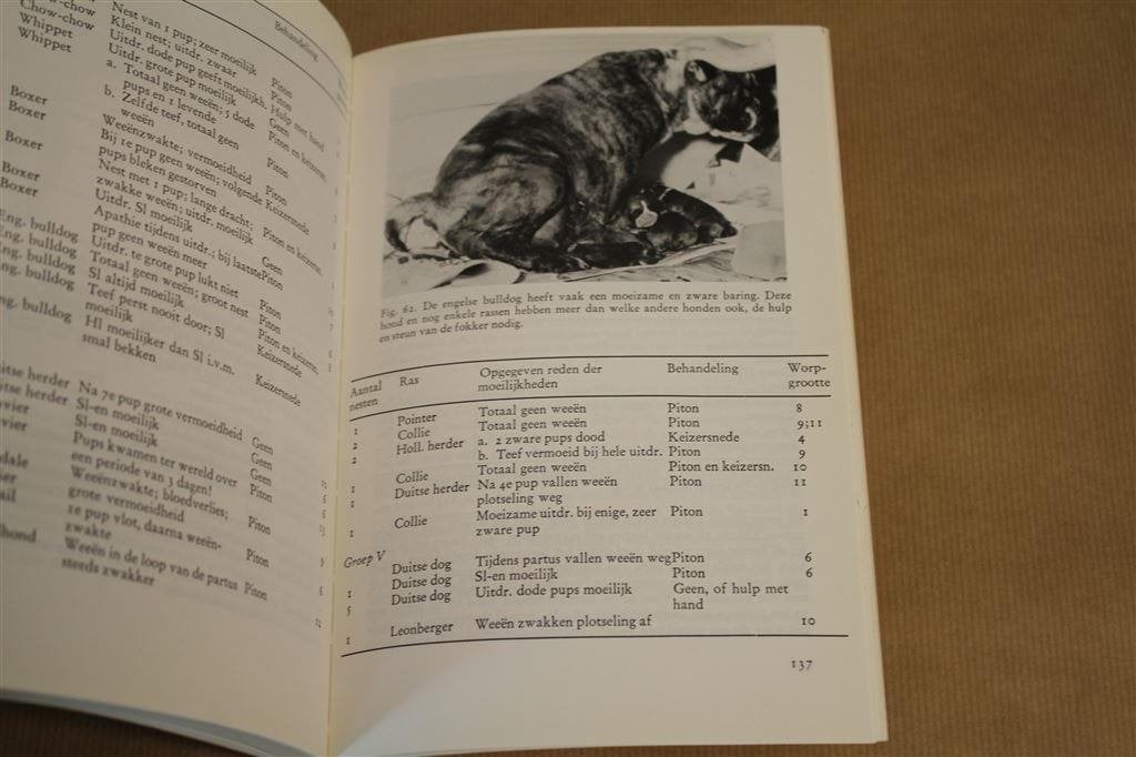 De geboorte bij de hond en zijn wilde verwanten., Ophalen of Verzenden, Gelezen, Honden