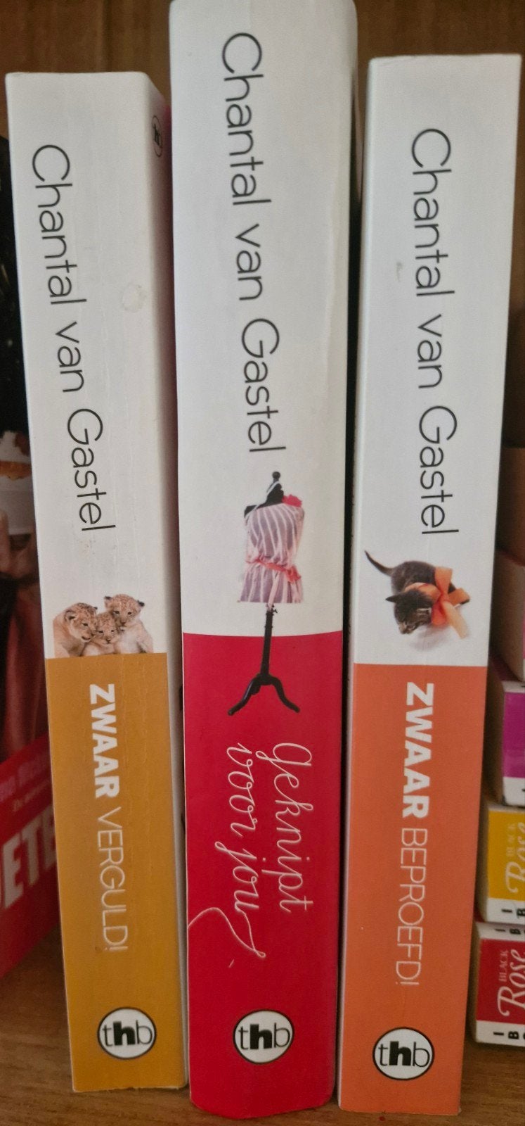 Chantal van Gastel: Zwaar Beproefd, Geknipt voor jou,, Ophalen of Verzenden, Gelezen, Chantal van Gastel