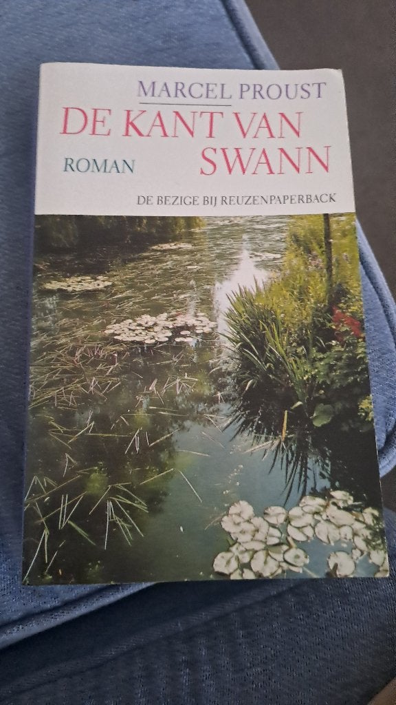 De Kant van Swann, Ophalen, Gelezen