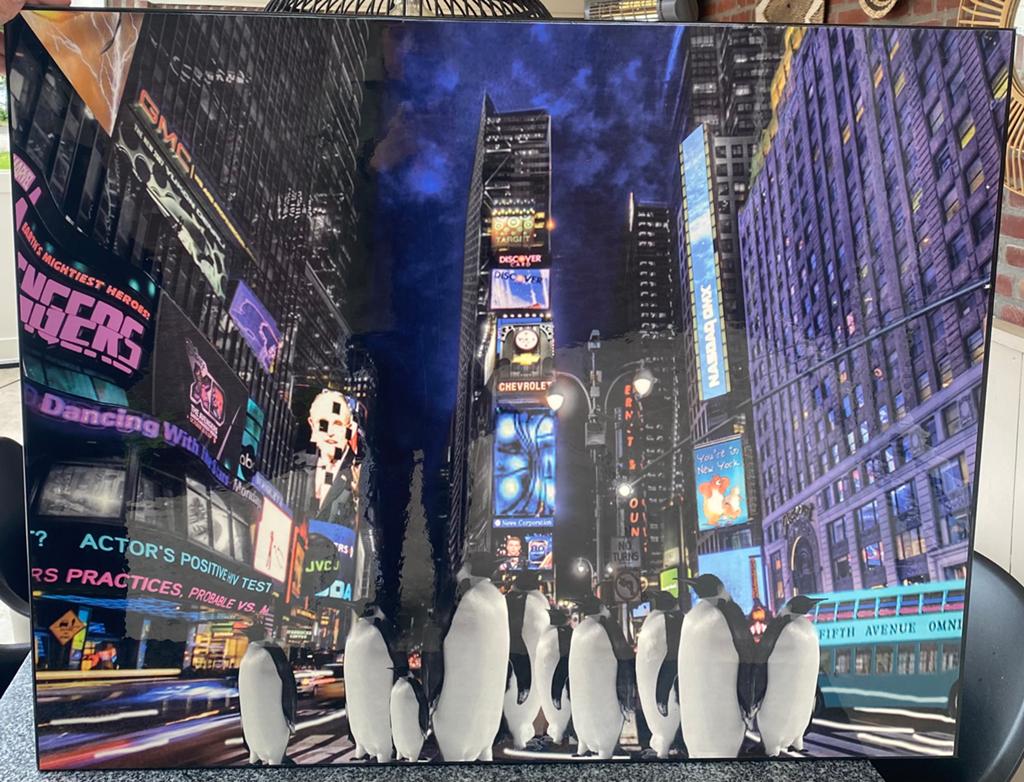 Schilderij New York pinguïns en vlinders, Ophalen