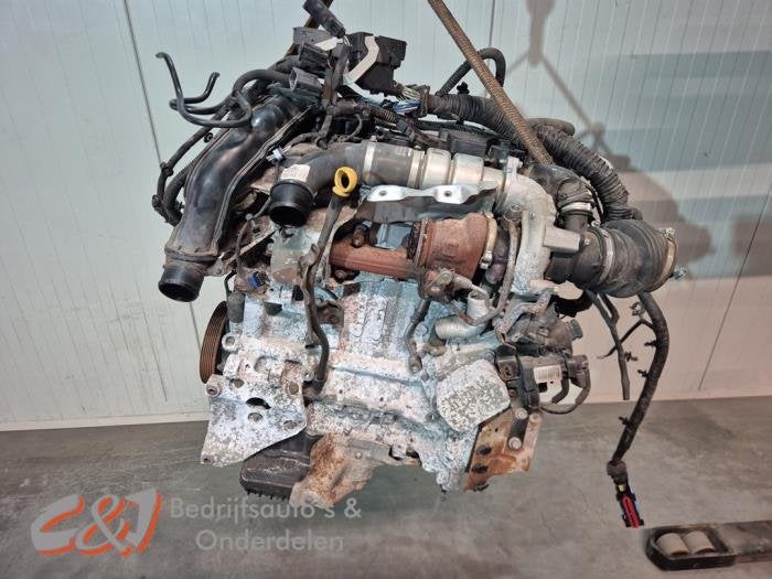 Motor van een Ford Transit Connect, Gebruikt, -, -, Ophalen of Verzenden