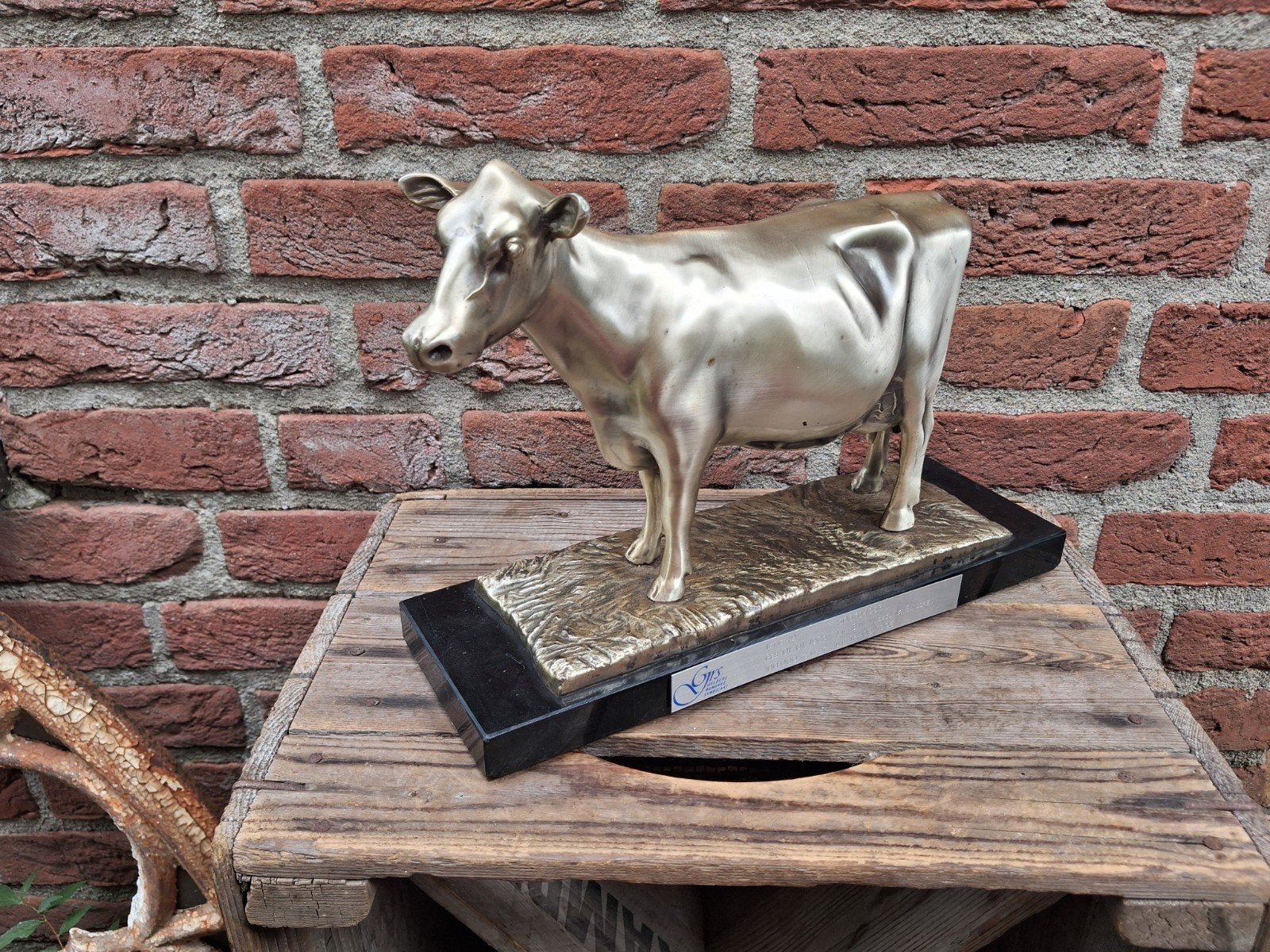 koeien troffee ietje 49 op marmeren voet, Ophalen, Gebruikt, Dier