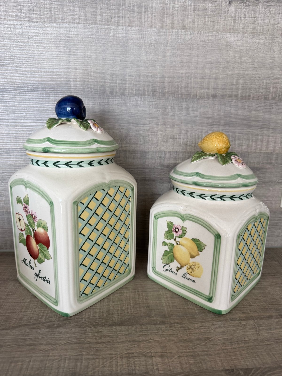 2 Villeroy & Boch French Garden Charm porseleinen potten, Ophalen of Verzenden, Zo goed als nieuw, Porselein, Overige typen