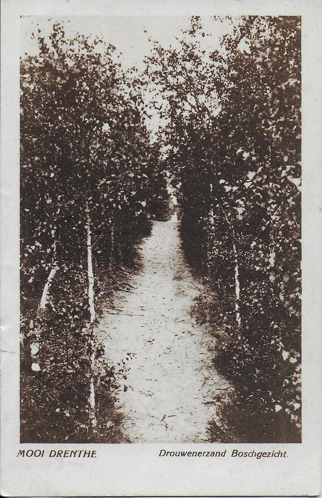 Pa1004 Oude gelopen Ansichtkaart Drouwenerzand Boschgezicht, Ophalen of Verzenden, 1960 tot 1980, Gelopen