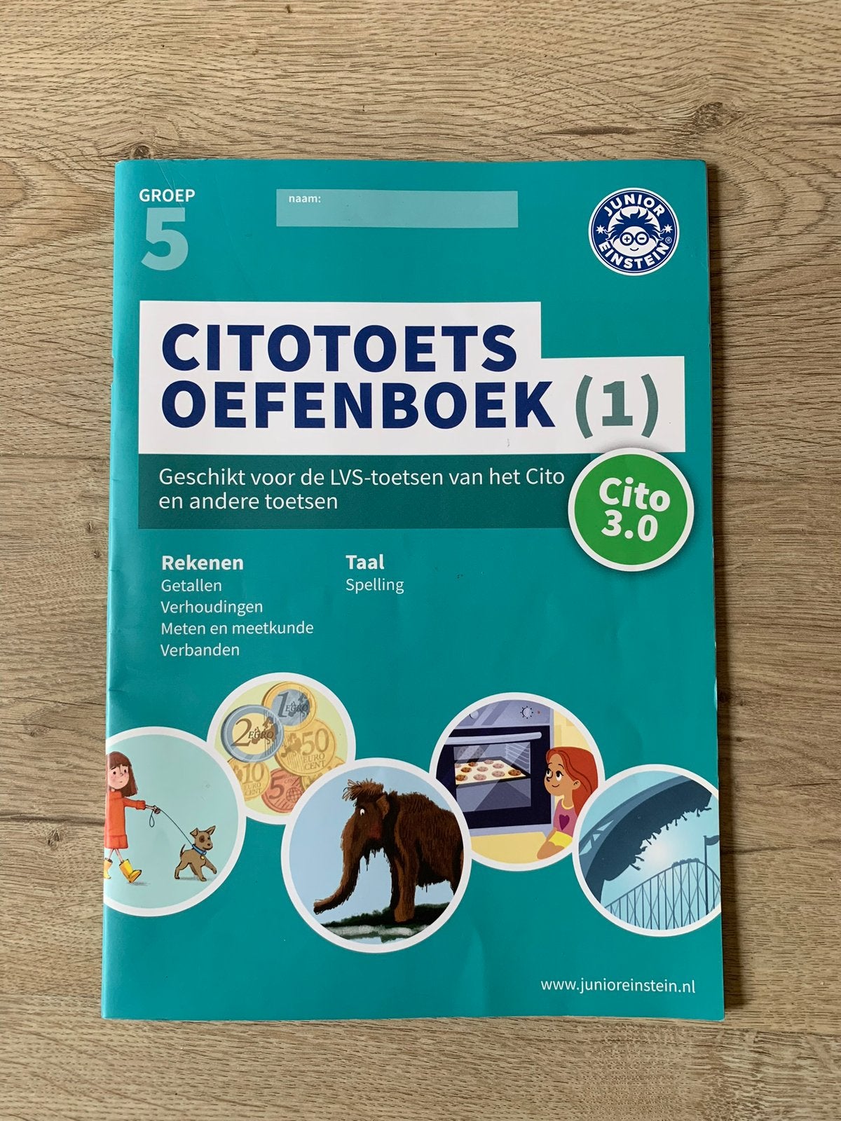 Citotoets groep 5 rekenen, taal en begrijpend lezen, Boeken, Ophalen, Zo goed als nieuw, Overige niveaus, Nederlands