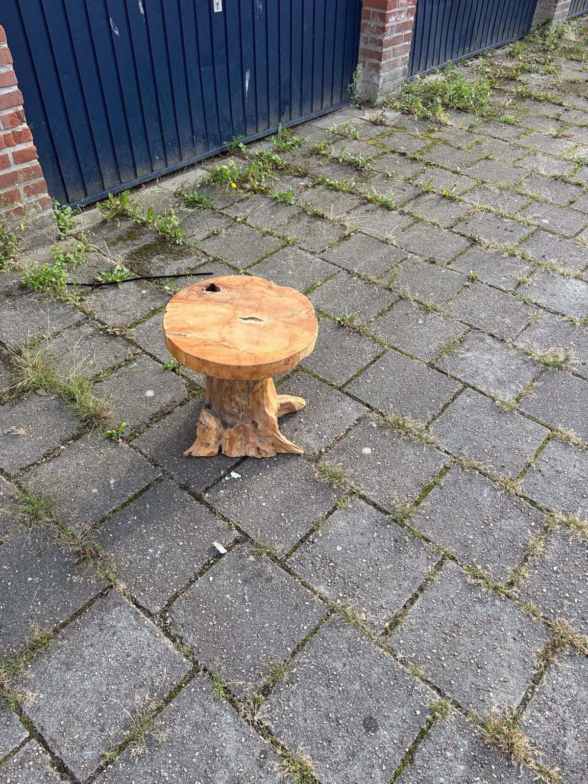 Unieke houten bijzettafel van boomstronk, Ophalen, Minder dan 45 cm, Minder dan 55 cm, Gebruikt