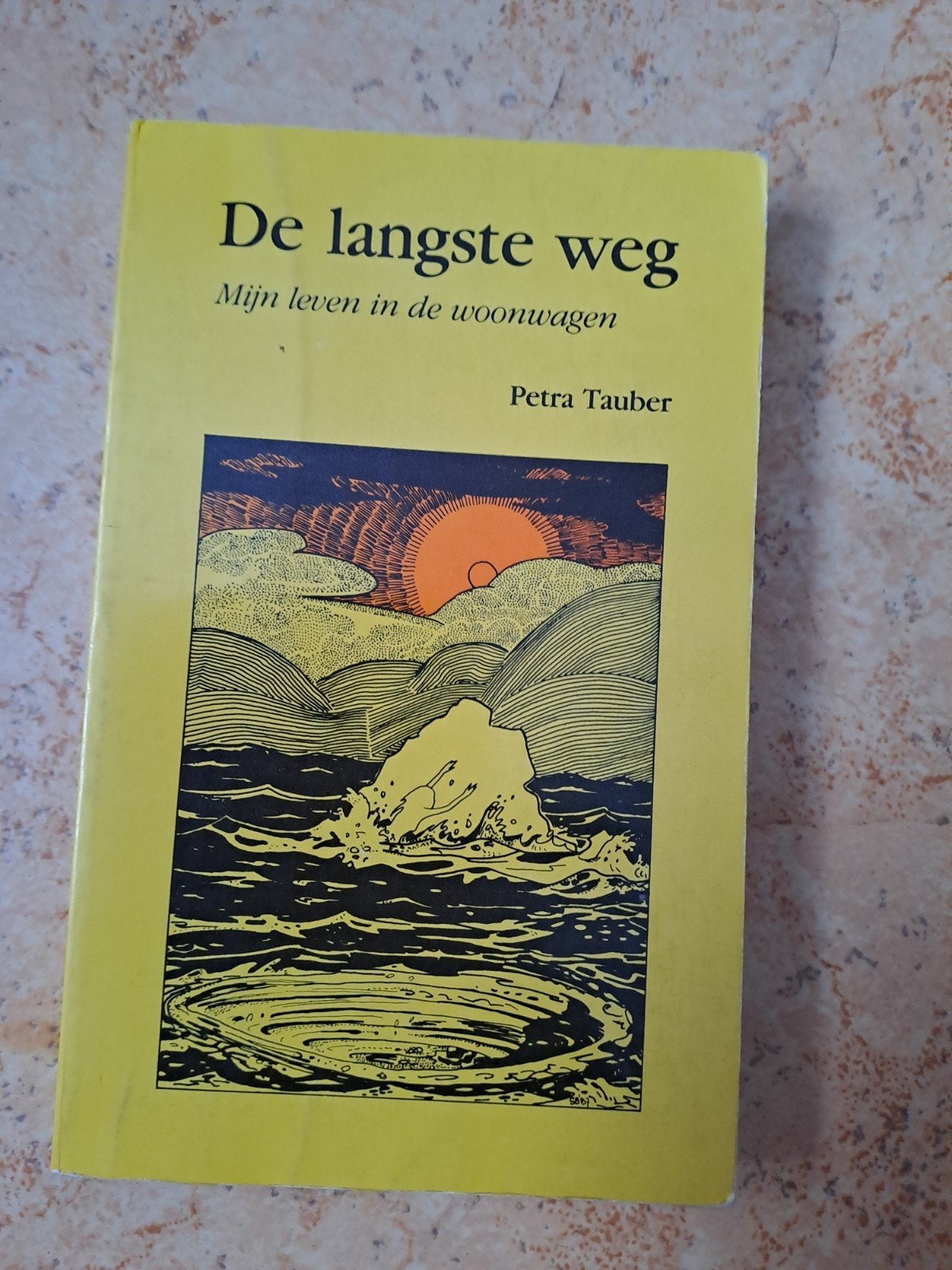 De langste weg - Mijn leven in de woonwagen - Petra Tauber, Ophalen of Verzenden, Gelezen