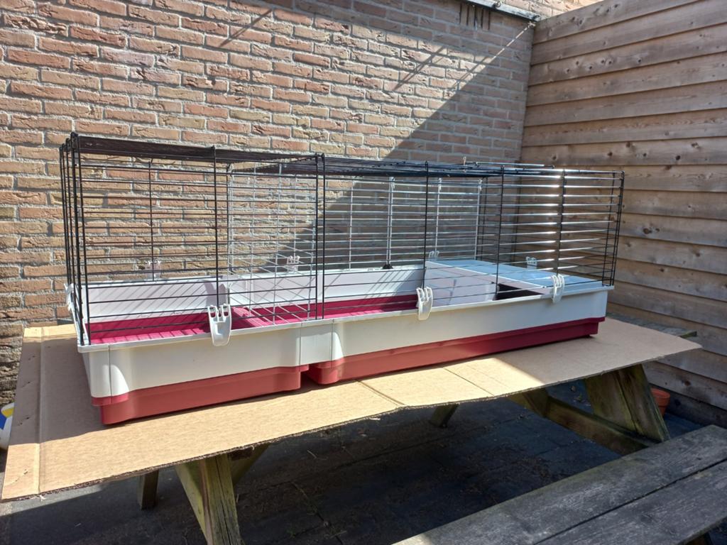 Cavia kooi 60 x 137, Kooi, Konijn, Ophalen, Minder dan 60 cm