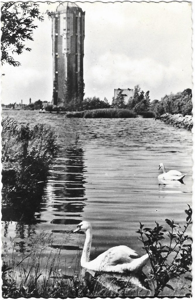 Aalsmeer, Watertoren, Westeinderplassen, wilde zwanen, Verzenden, 1960 tot 1980, Gelopen, Noord-Holland