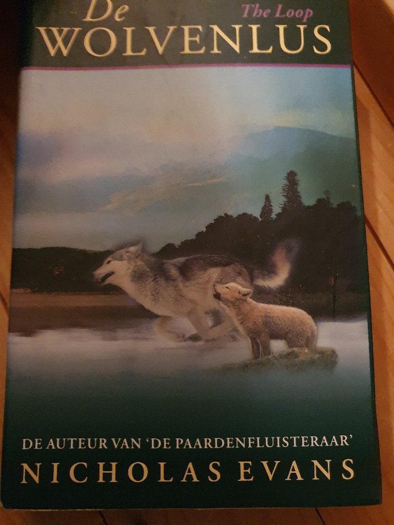 Spannende roman van Nicholas Evans, Ophalen of Verzenden, Zo goed als nieuw