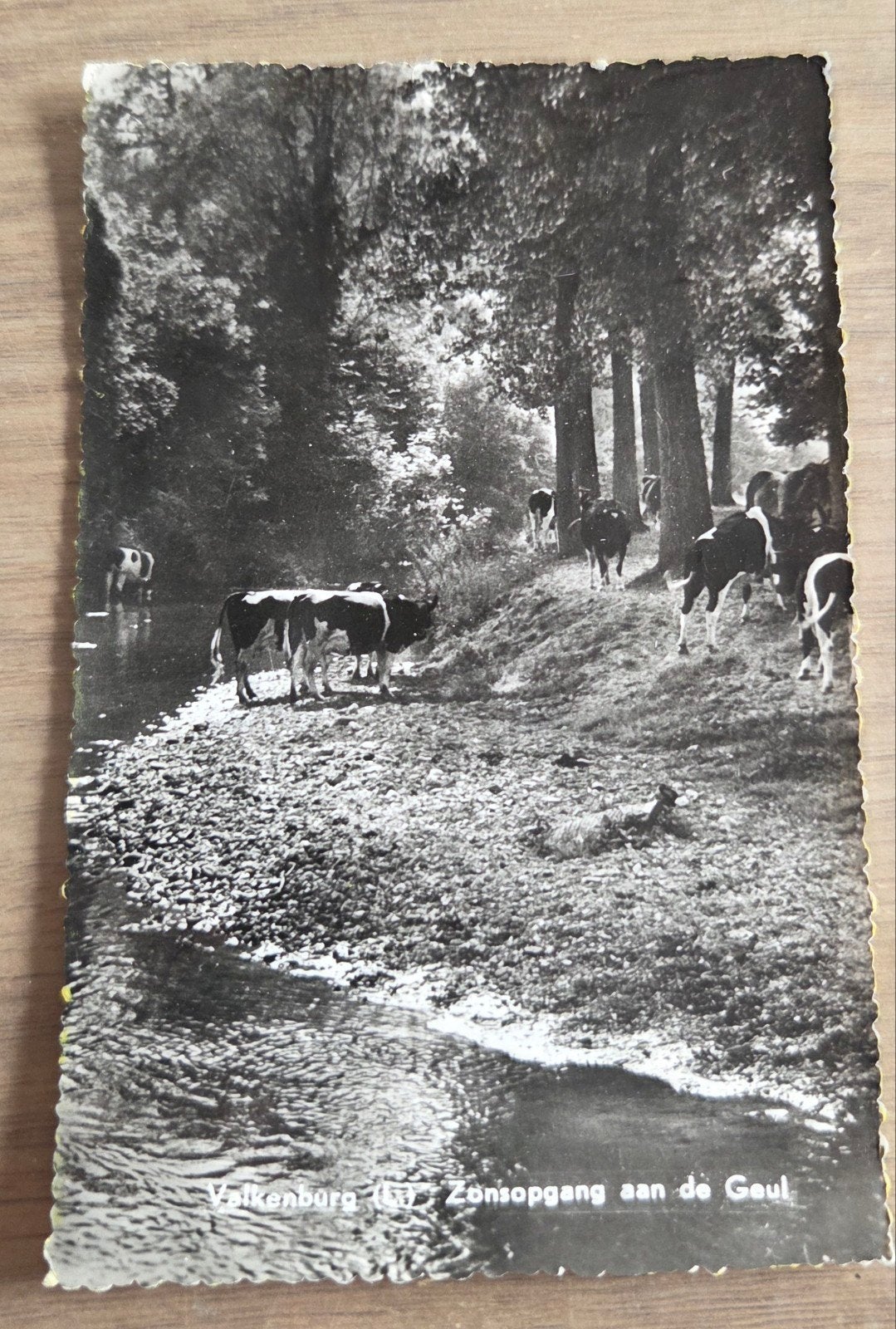 Oude ansichtkaart Valkenburg: Zonsopgang aan de Geul (1962), Ophalen of Verzenden, 1960 tot 1980, Gelopen, Limburg