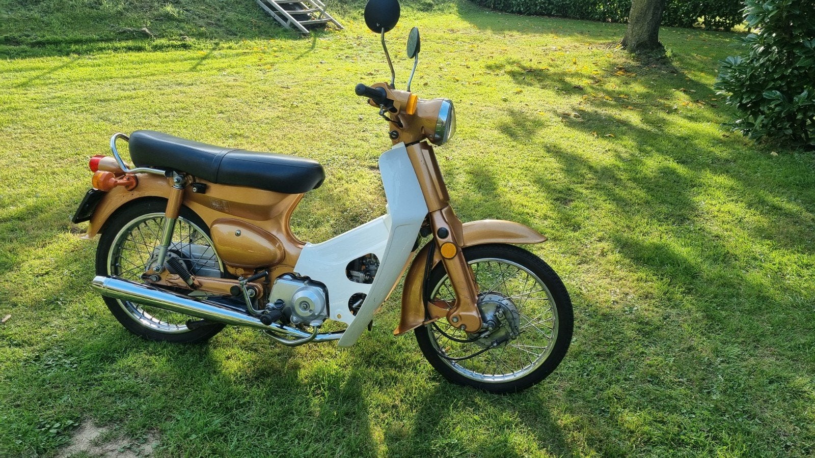 Zeldzame Super Cub C50 Motor Company in perfecte s, Ophalen, Gebruikt, Overige modellen, Maximaal 45 km/u
