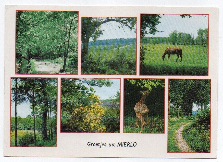 Groetjes uit Mierlo, Ophalen of Verzenden, 1980 tot heden, Gelopen, Noord-Brabant