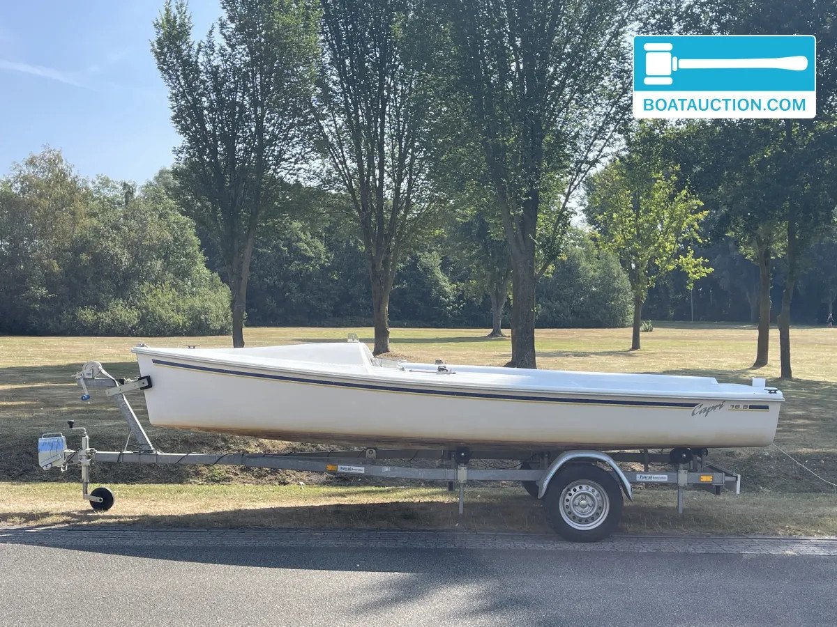 Catalina 16.5 nu in de online veiling., Gebruikt, Overige brandstoffen, Inclusief trailer, Overige typen