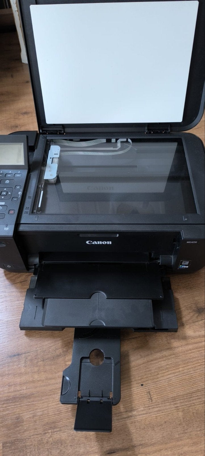 Canon mg4250 all in one printer, Computers en Software, Printers, Ophalen of Verzenden, Gebruikt, Scannen