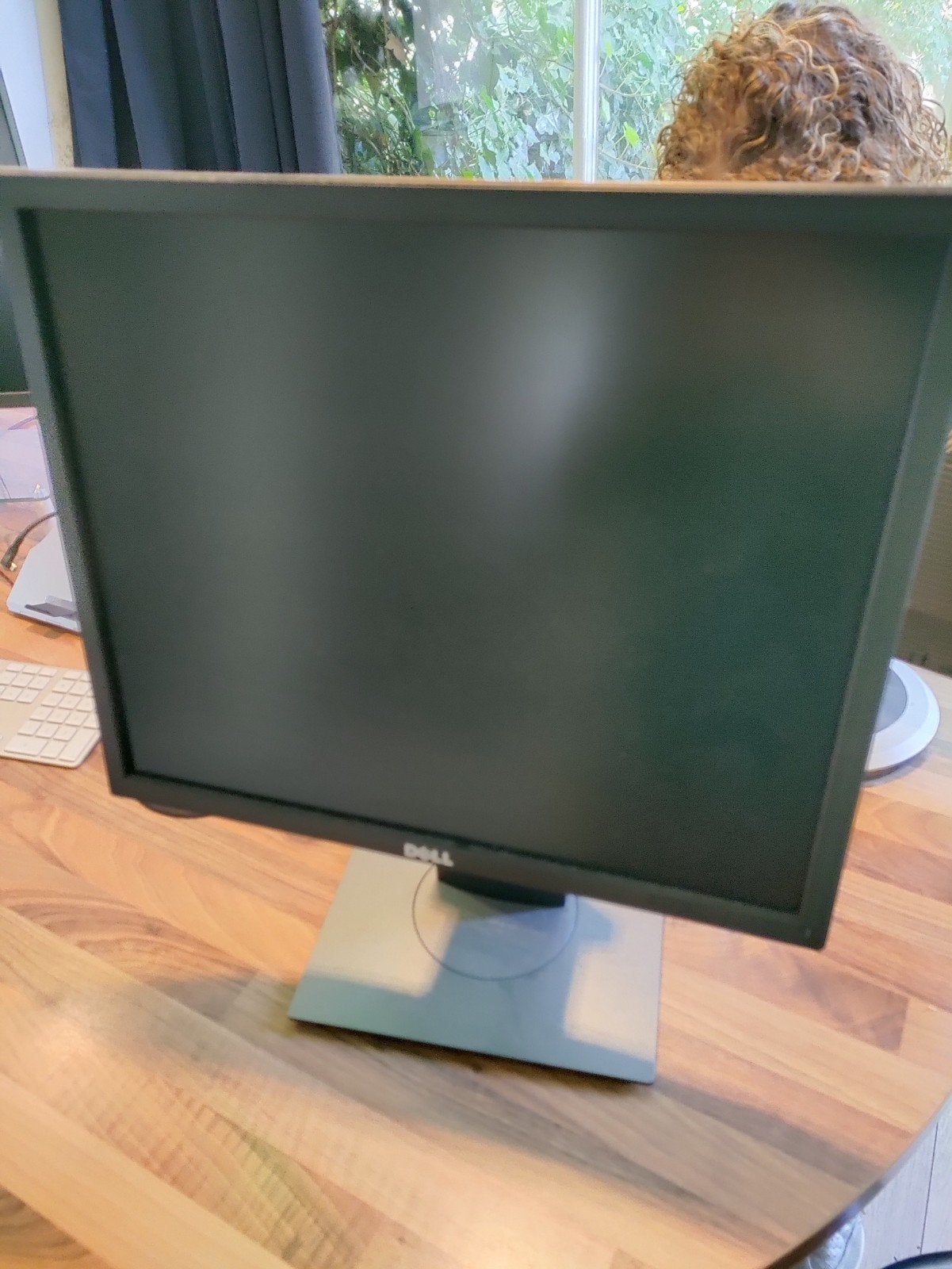 Dell P19175 19 inch monitor, Computers en Software, Ophalen, Gebruikt, DisplayPort, Dell