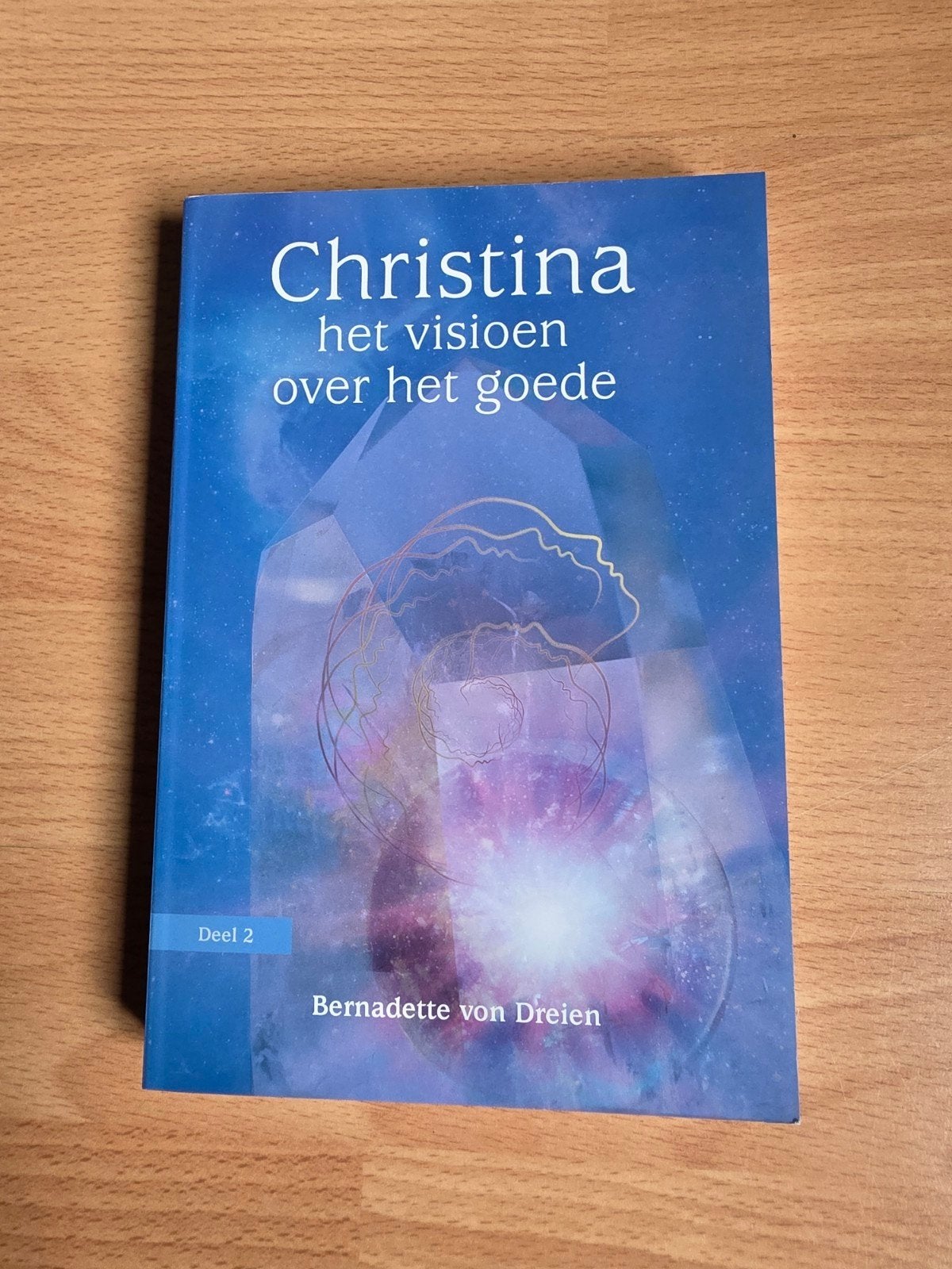 Christina: het visioen over het goede -Bernadette von Dreien, Ophalen of Verzenden, Gelezen, Spiritualiteit algemeen, Achtergrond en Informatie