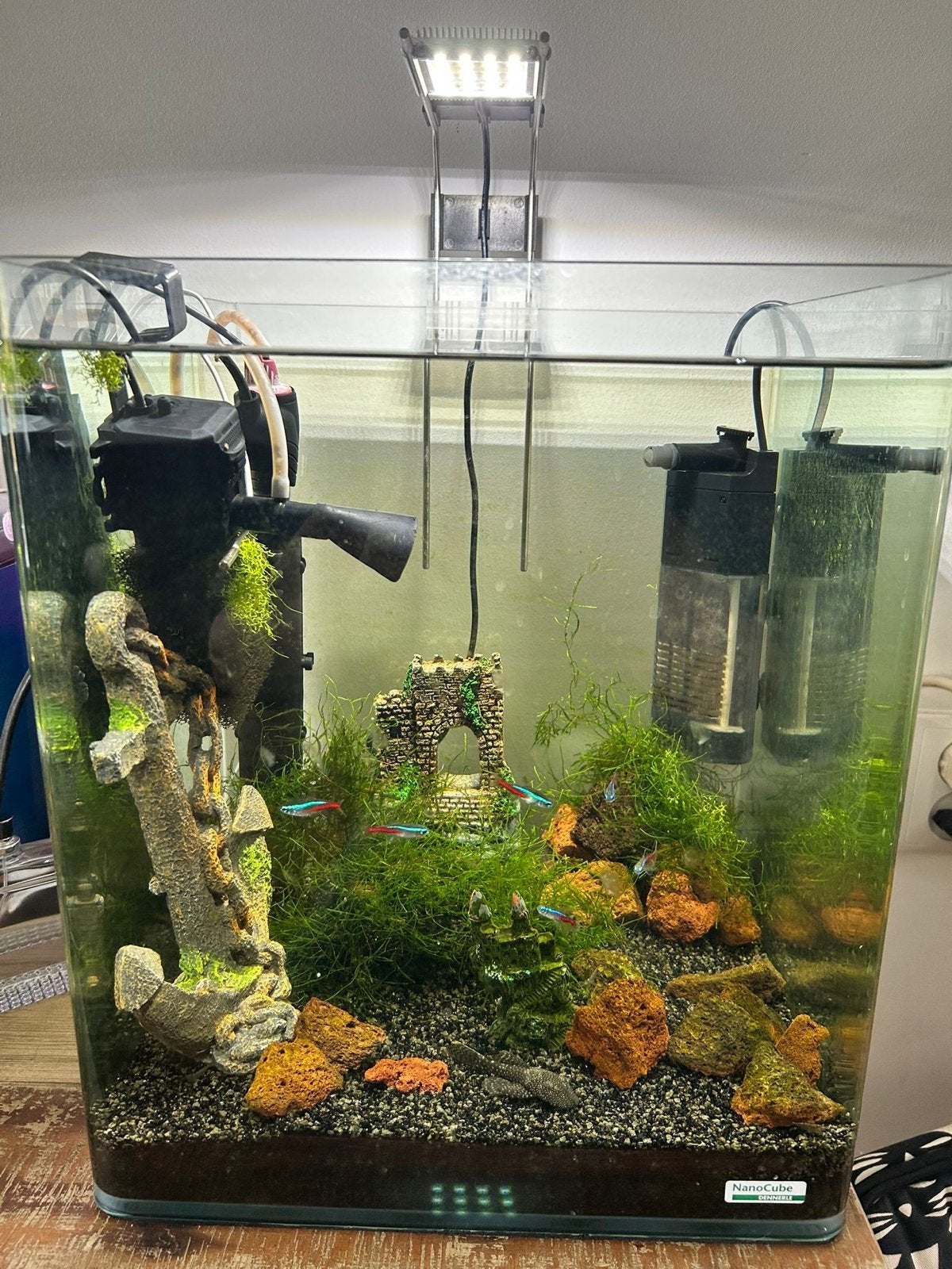 Nano cube met pomp filter en licht, Dieren en Toebehoren, Vissen | Aquaria en Toebehoren, Ophalen of Verzenden, Zo goed als nieuw