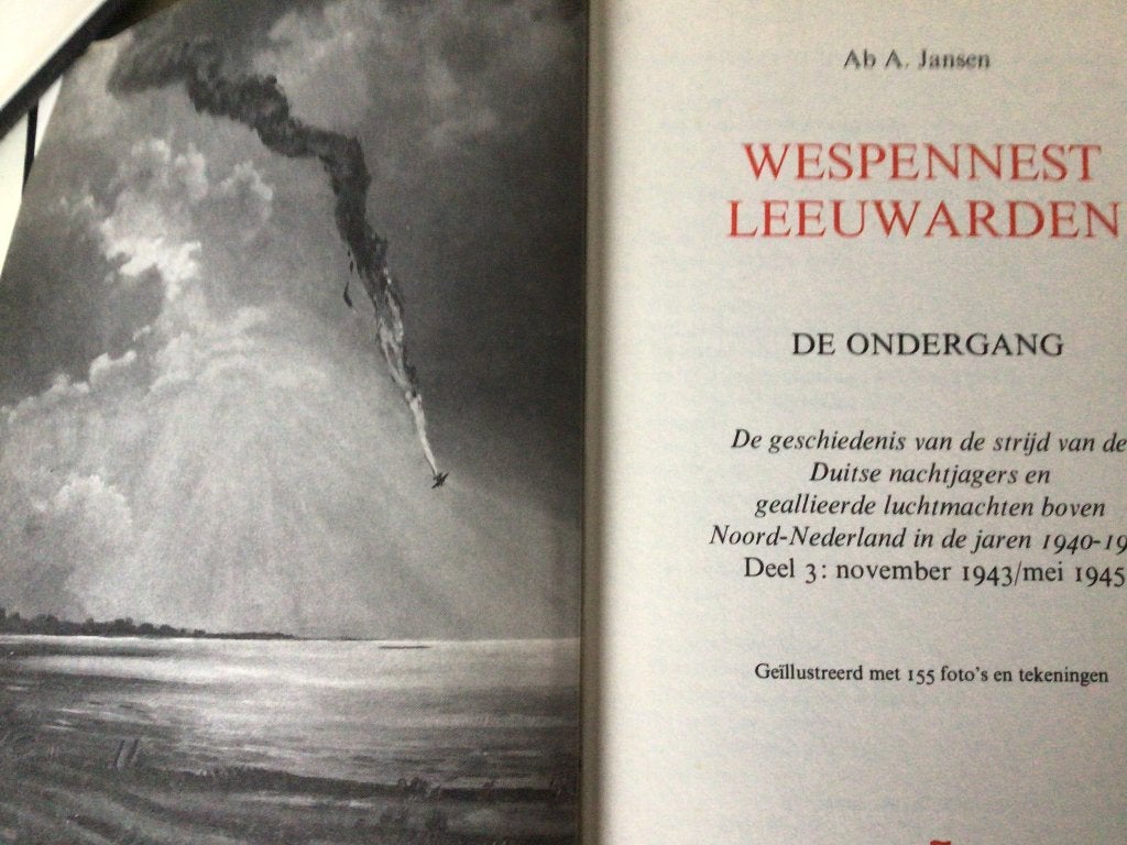Wespennest Leeuwarden, deel 1, 2 en 3., Boeken, Ophalen of Verzenden, 20e eeuw of later, Zo goed als nieuw, Ab A. Jansen
