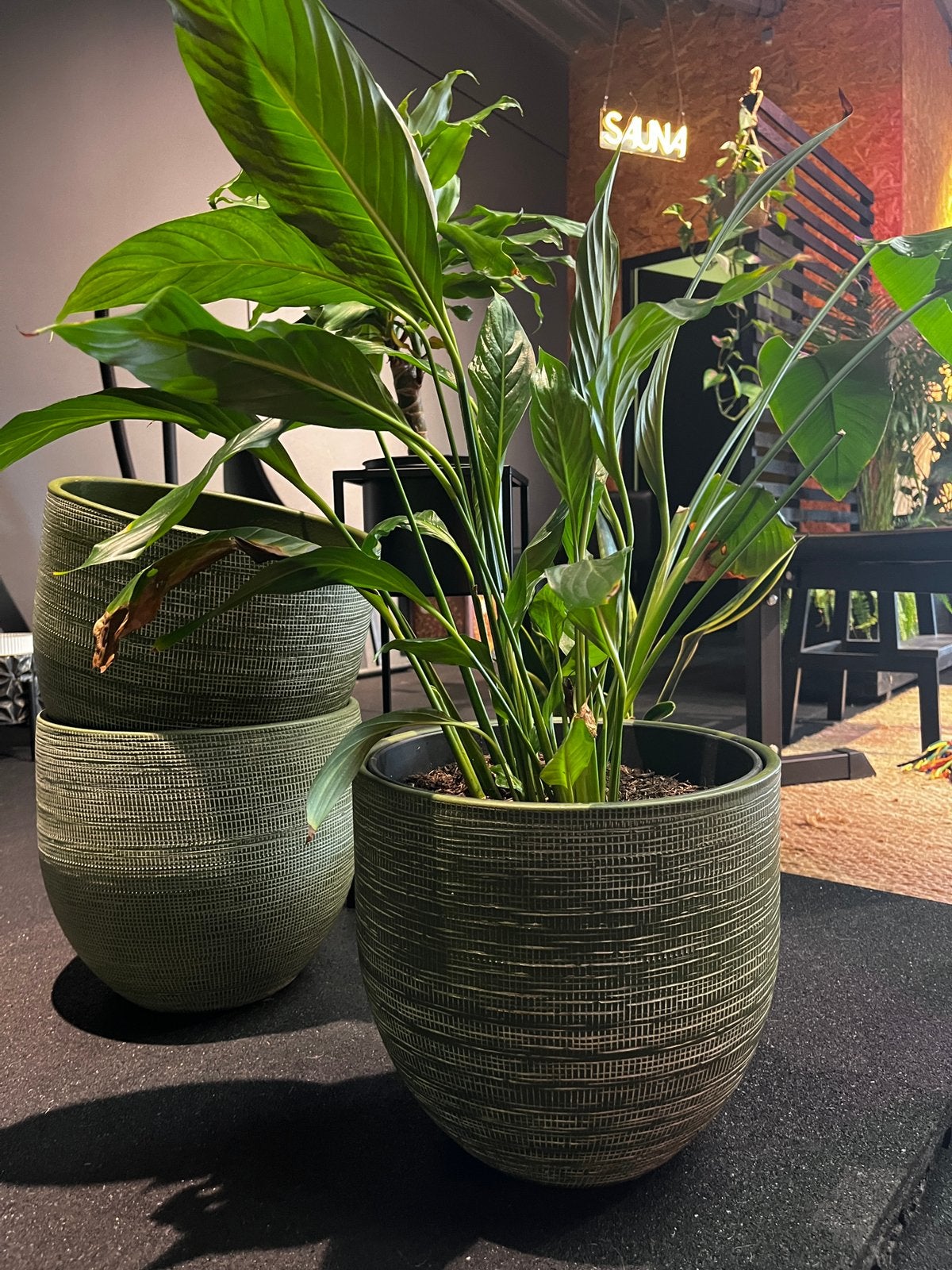 Set van 2 mooie groene stenen plantenpotten, Tuin en Terras, Bloempotten, Ophalen, Steen, Rond, Zo goed als nieuw