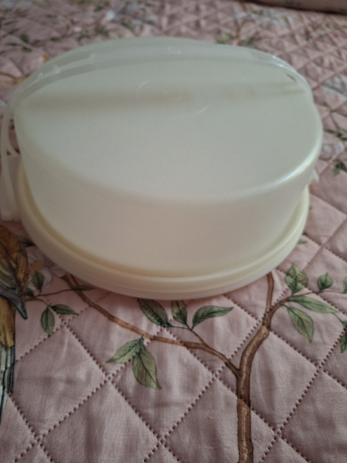 Tupperware taartdoos, Huis en Inrichting, Ophalen, Gebruikt, Bewaardoos, Met deksel
