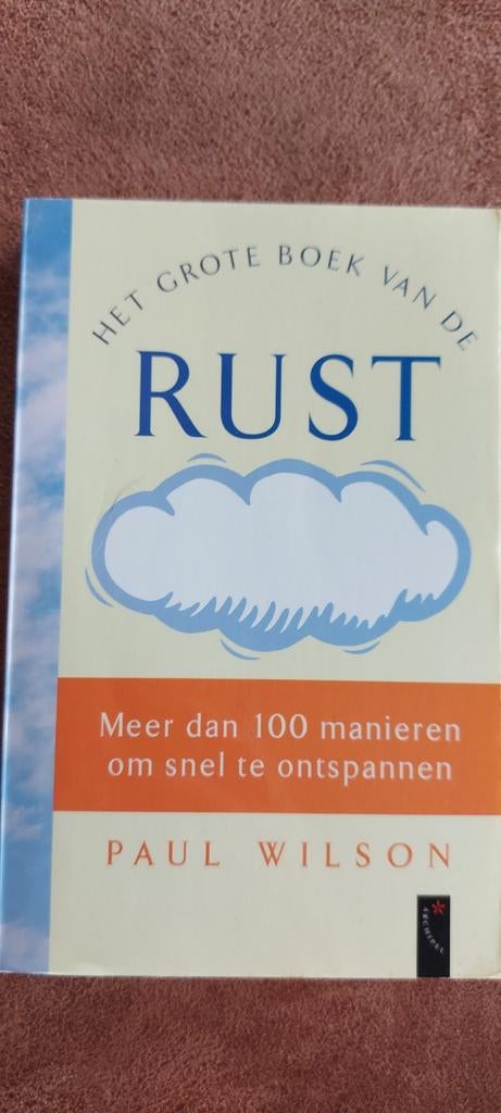 Het Grote Boek van de Rust - Paul Wilson (Ontspanning), Boeken, Ophalen of Verzenden, Zo goed als nieuw, Paul Wilson