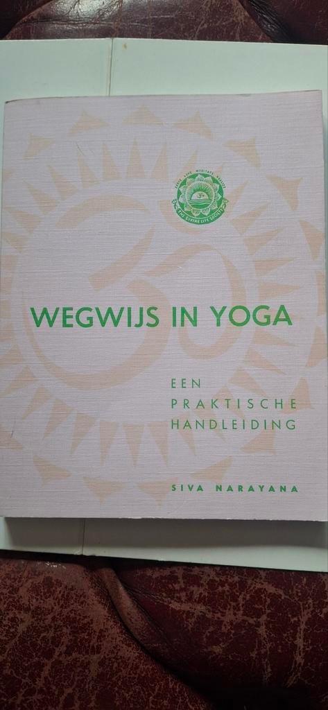 Wegwijs in Yoga - Een Praktische Handleiding, Gelezen, Ophalen of Verzenden, Instructieboek, Meditatie of Yoga