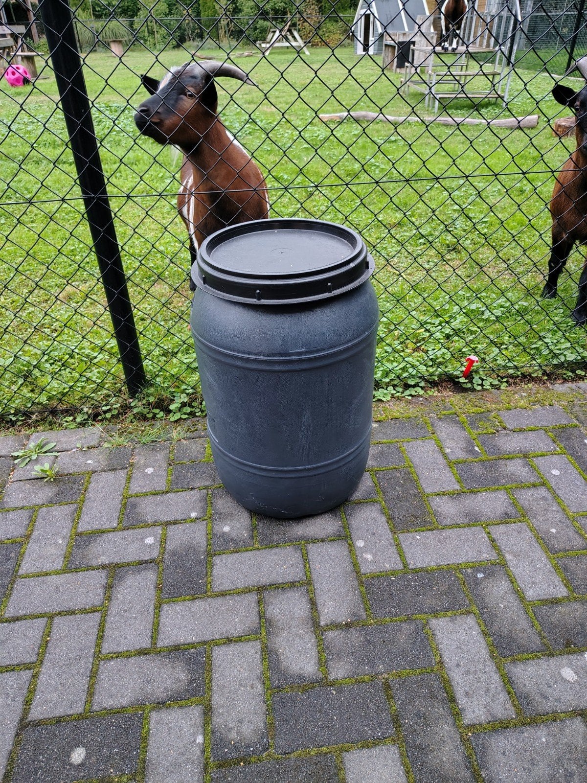 voerton 60 liter, Ophalen, Zo goed als nieuw