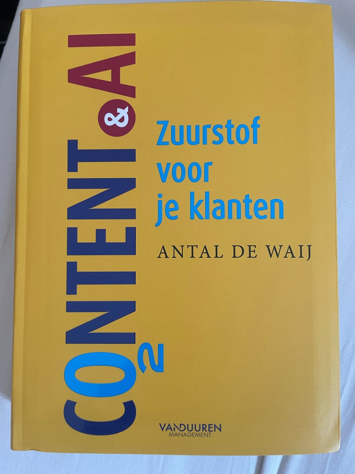 Content & AI: Zuurstof voor je klanten - Antal de Waij, Ophalen, Zo goed als nieuw, E-commerce en Internet
