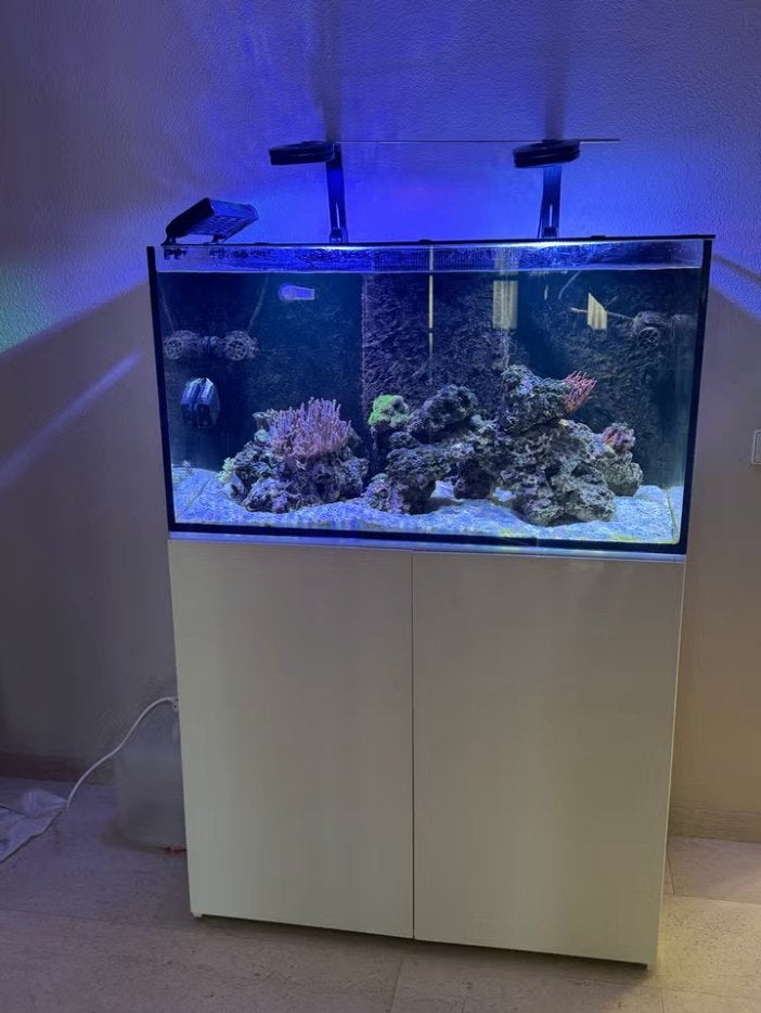 Compleet zeeaquarium ca 300L | Vissen | Koraal | Reefmat |, Gevuld zeewateraquarium, Zo goed als nieuw, Aqua Medic, Ophalen