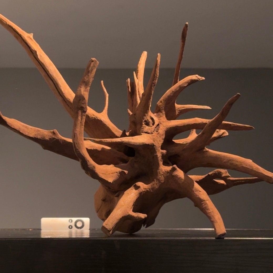 XL Corboroot Kienhout / Spiderwood / Mangrove Hout Aquarium, Dieren en Toebehoren, Vissen | Aquaria en Toebehoren, Ophalen of Verzenden