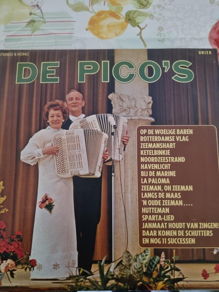 De pico s Langspeelplaat, Ophalen of Verzenden, Gebruikt, Overige formaten, Levenslied of Smartlap