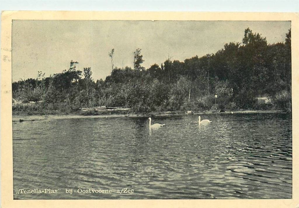 388-318-007 Oostvoorne Tenella Plas, Verzenden, Voor 1920, Zuid-Holland