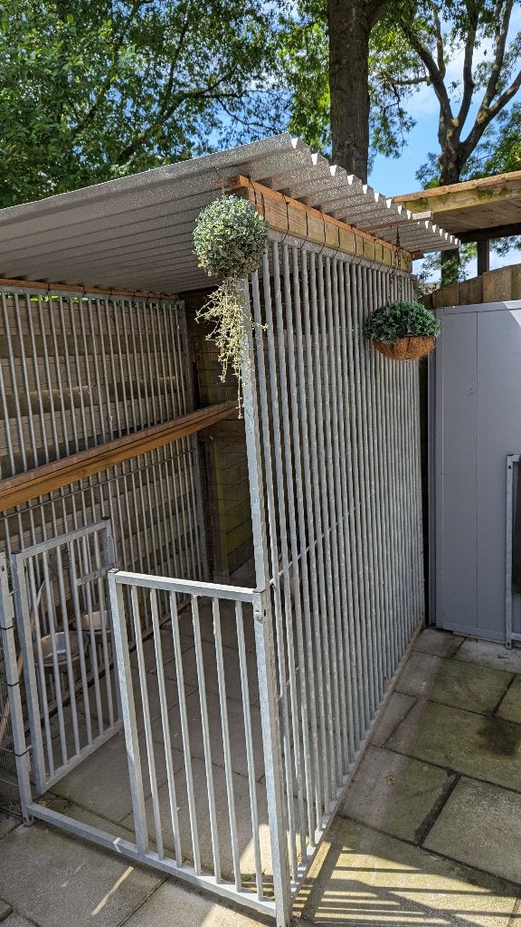 kennel met accessoires, Ophalen, Gebruikt, 110 cm of meer, 100 cm of meer