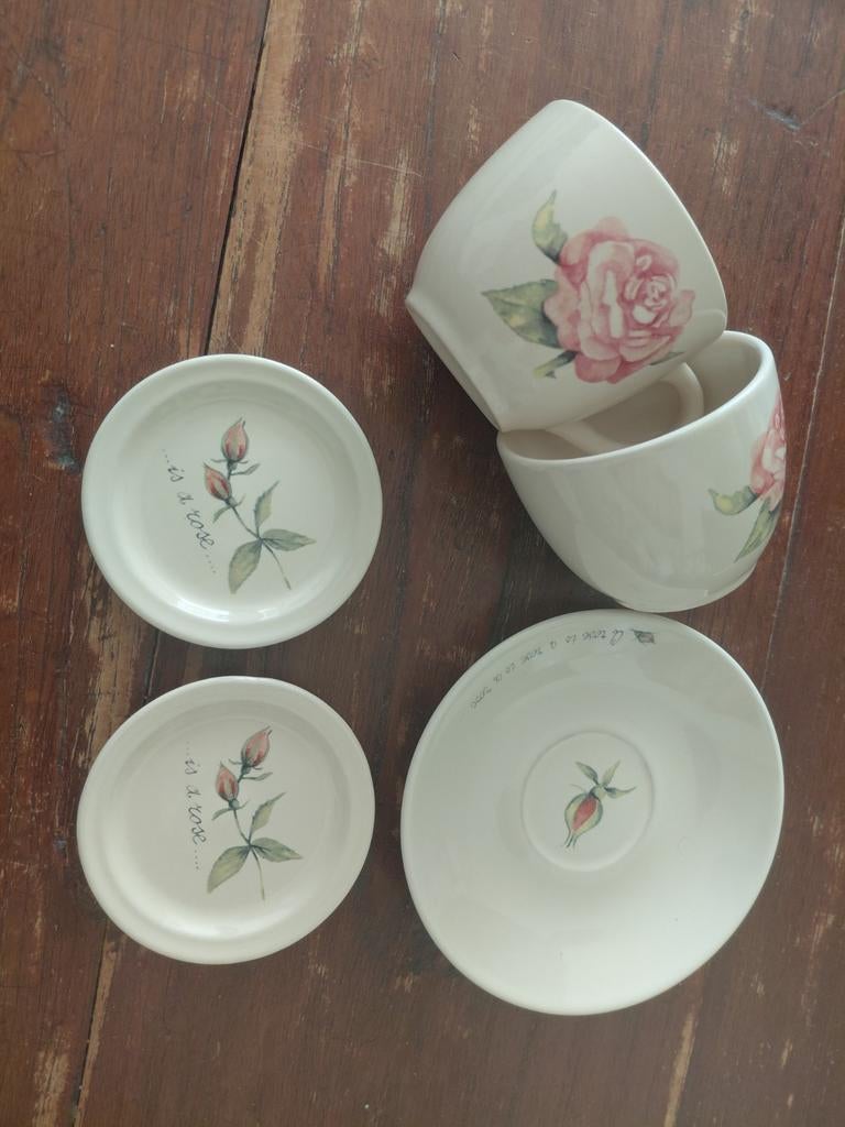 Jet ter steege a rose is a rose servies onderdelen, Ophalen, Gebruikt, Overige stijlen, Kop(pen) en/of Schotel(s)