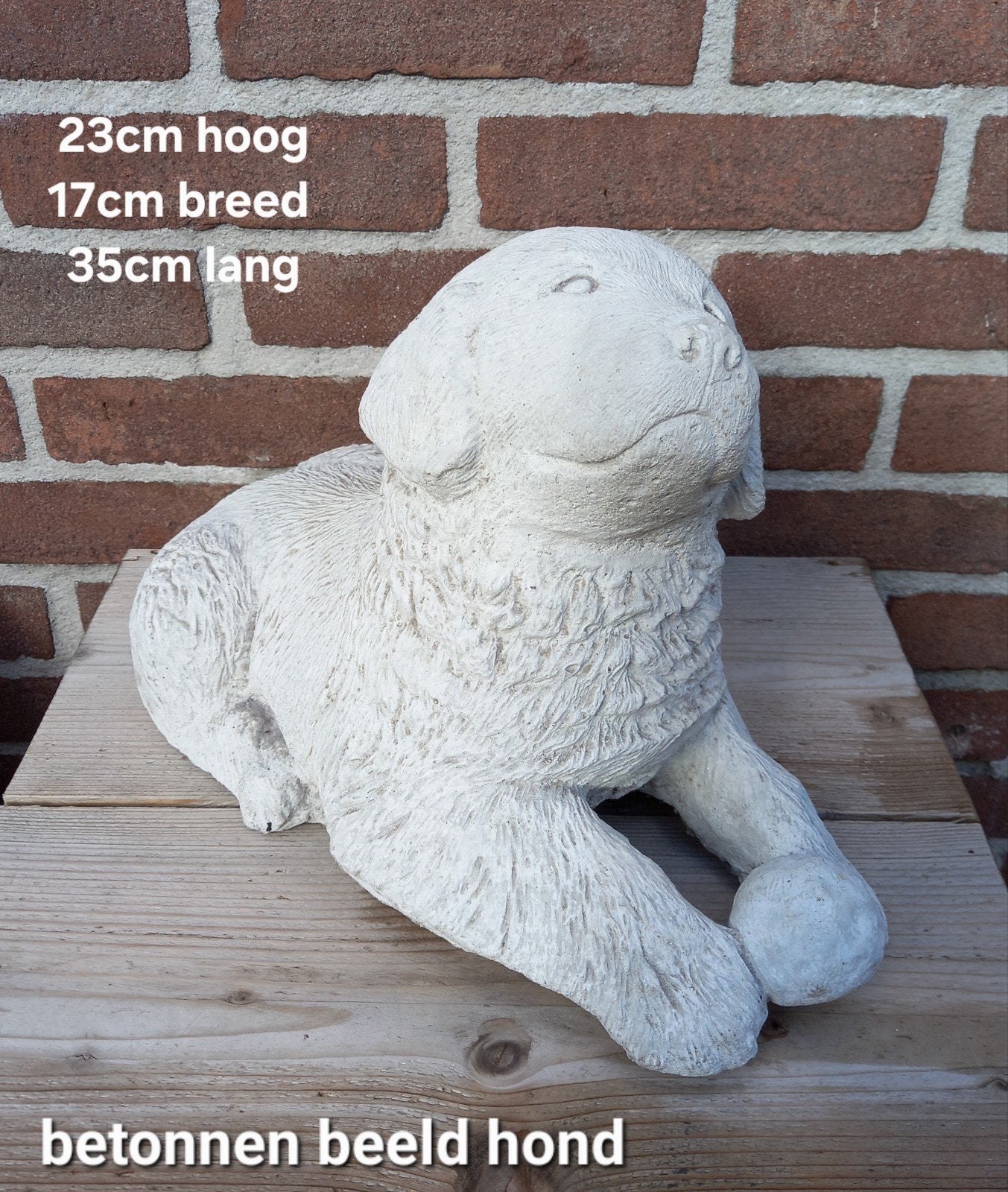Betonnen beeld hond, Tuin en Terras, Ophalen of Verzenden, Zo goed als nieuw, Beton, Dierenbeeld