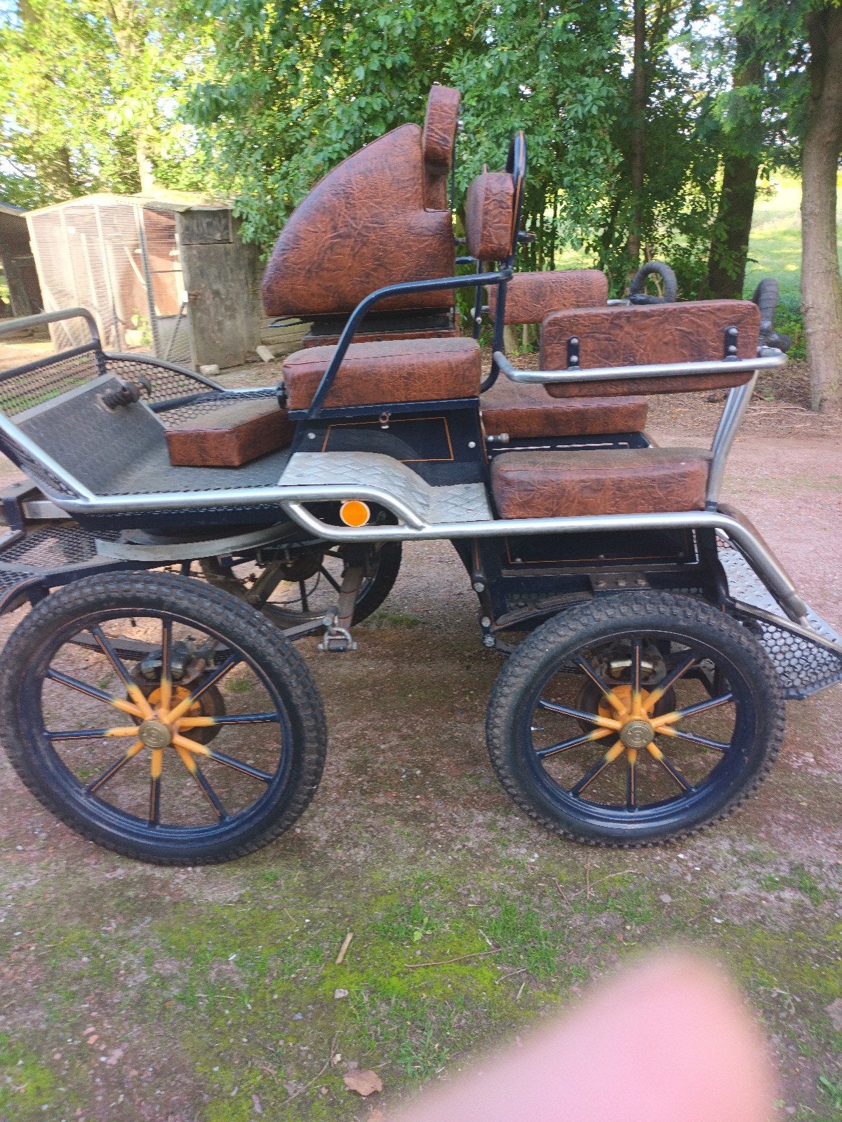 Te koop, Dieren en Toebehoren, Rijtuigen en Koetsen, Marathonwagen, Paard