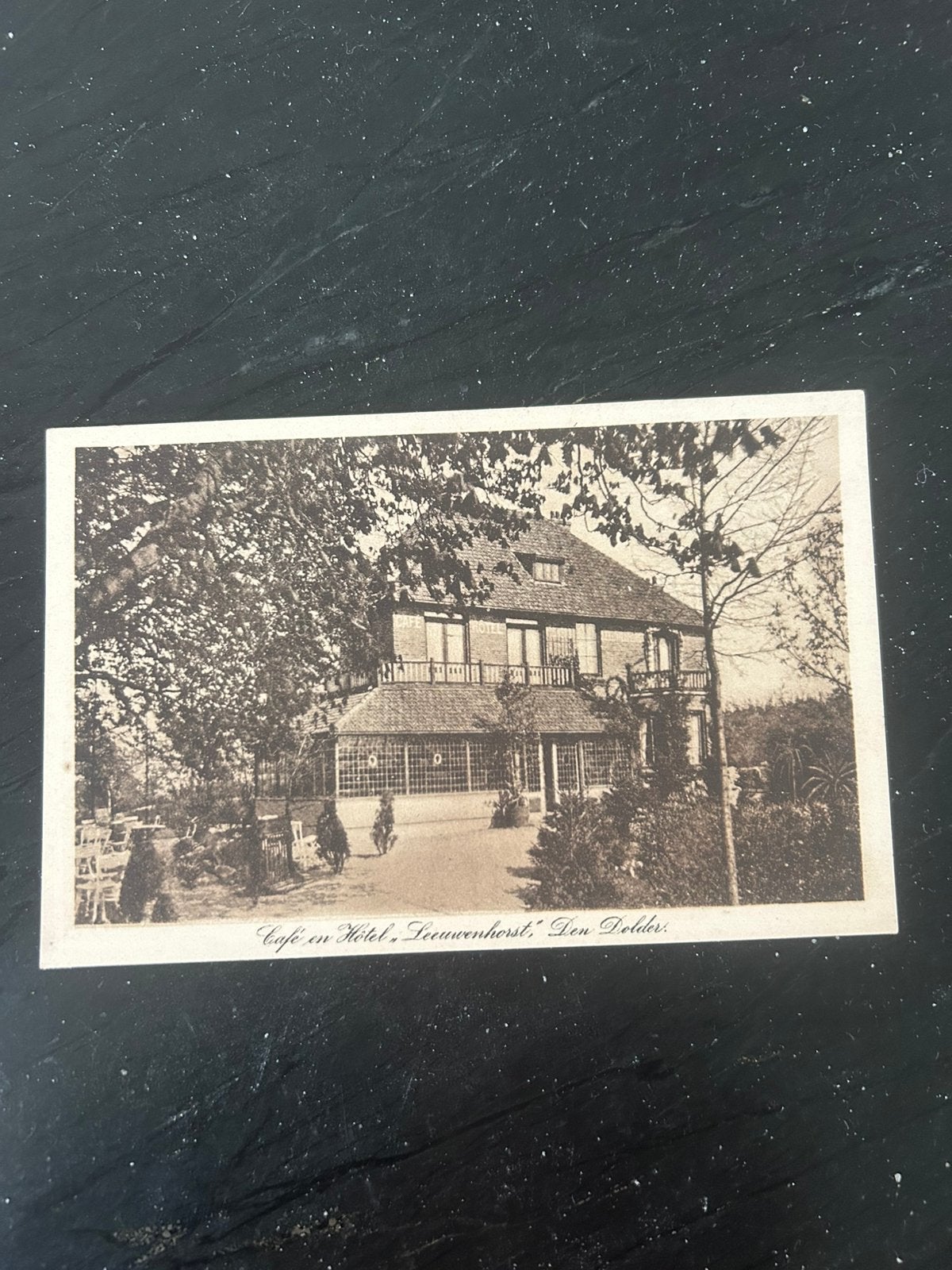 DEN DOLDER Café en Hotel “LEEUWENHORST” 1915, Ophalen of Verzenden, Voor 1920, Ongelopen, Utrecht