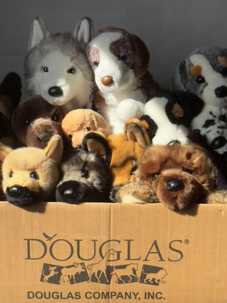 GEZOCHT douglas honden!, Hond, Middelgroot (20 tot 80 cm), Verzenden, Overige karakters