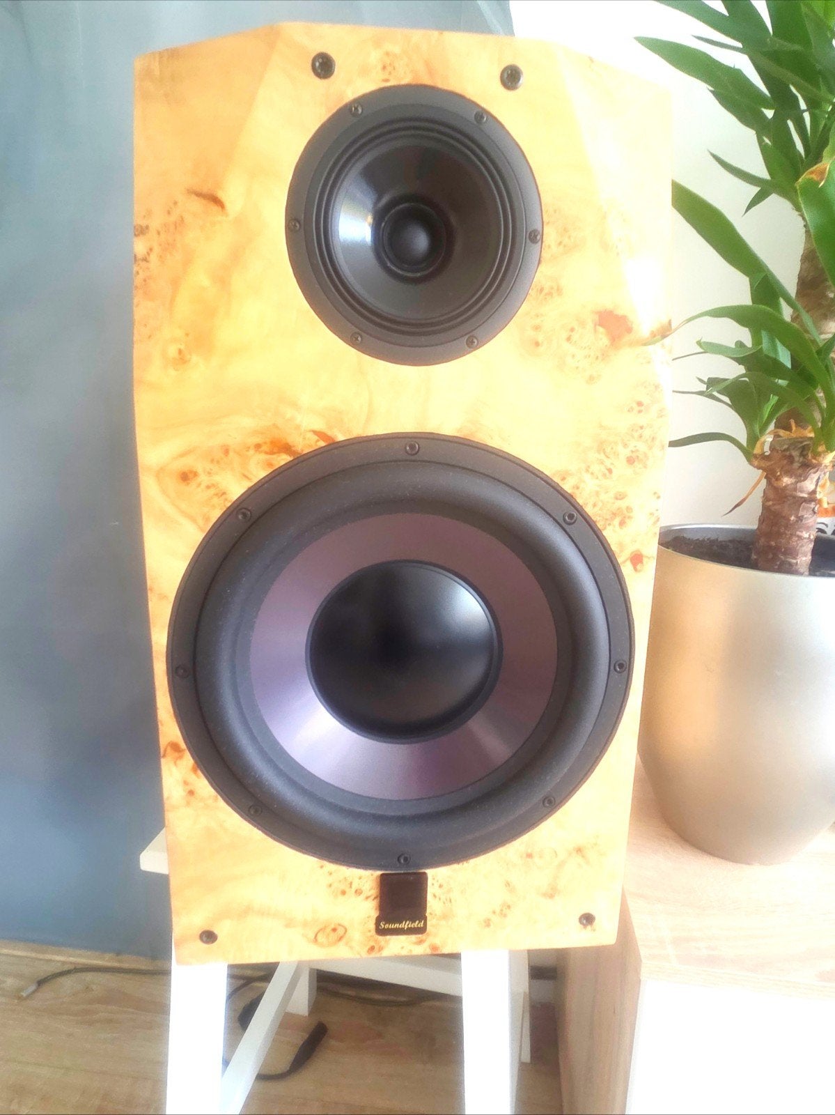 Soundfield  actieve luidsprekers (custom speakers) 2 stuks, Ophalen of Verzenden, Zo goed als nieuw, Overige merken
