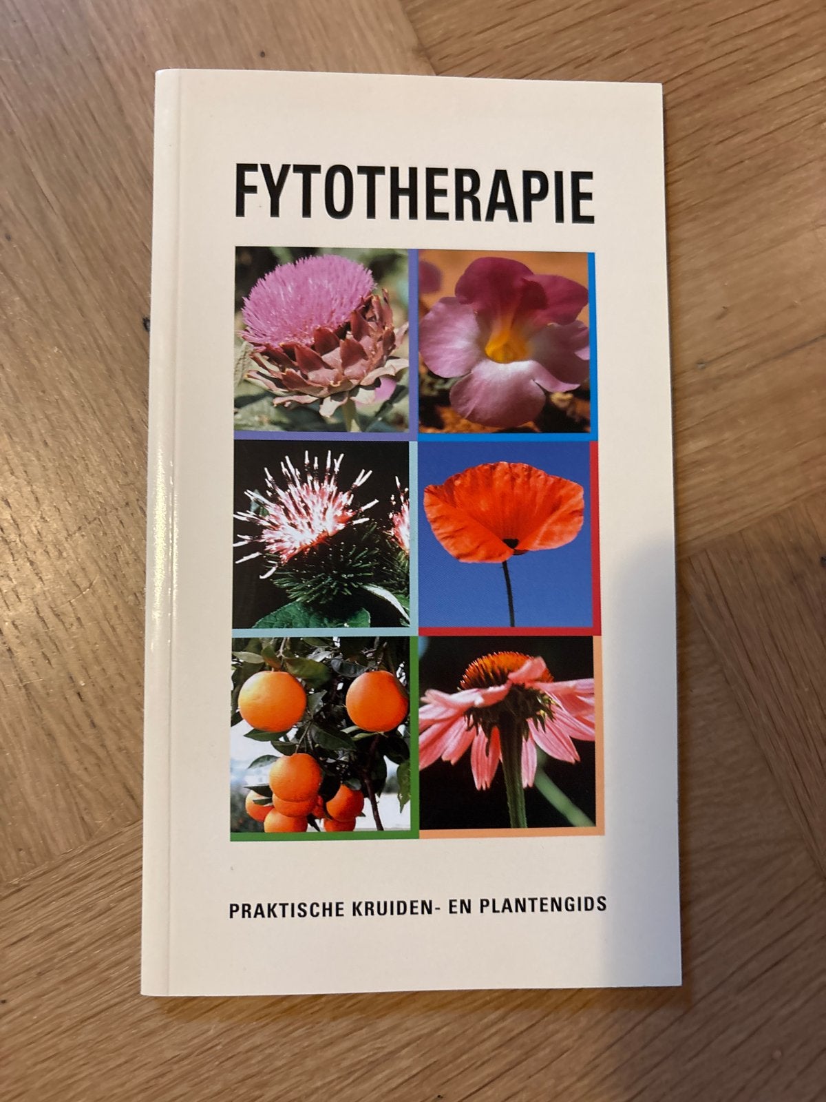 Fytotherapie: Praktische Kruiden- en Plantengids, Boeken, Ophalen of Verzenden, Zo goed als nieuw, Kruiden en Alternatief