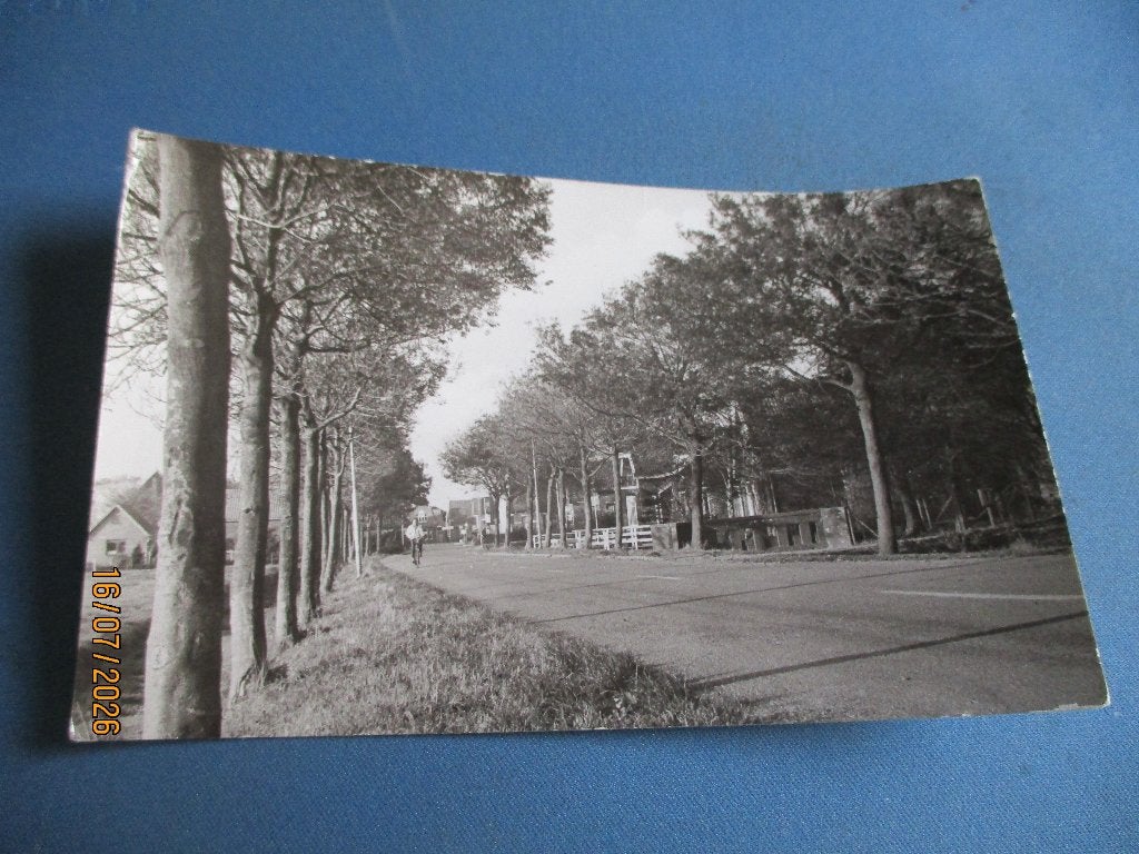 Westwoud, Ophalen of Verzenden, Voor 1920, Ongelopen